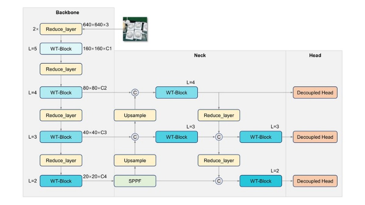 WT-YOLO architecture figure